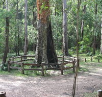 Six Mile Creek campground - Redcliffe Tourism