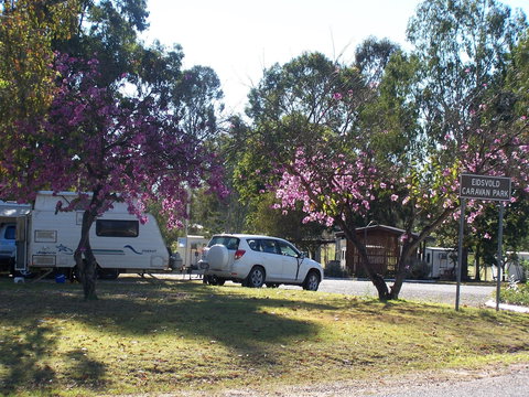 Eidsvold Caravan Park - Redcliffe Tourism 0