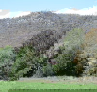 Jessica's Guest House and Vineyard - Redcliffe Tourism