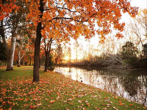Reflections Holiday Park Cudgegong River - Temporarily Closed - Redcliffe Tourism 1