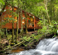 The Mouses House - Rainforest Retreat - Redcliffe Tourism