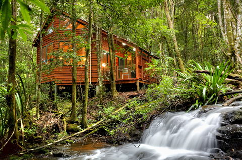 The Mouses House - Rainforest Retreat - Redcliffe Tourism 0