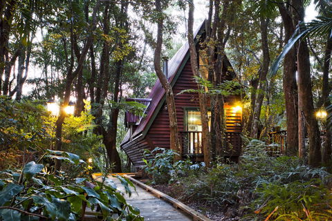 The Mouses House - Rainforest Retreat - Redcliffe Tourism 2