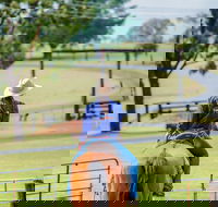 Tobruk Sydney Farm Stay - Redcliffe Tourism