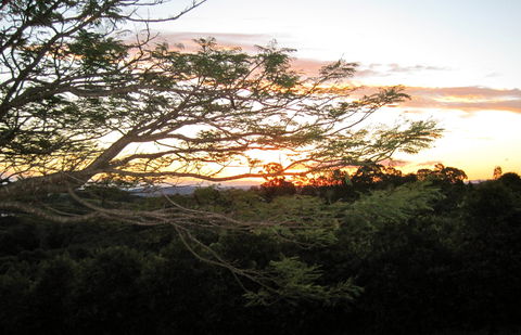 Annie's Place Bed And Breakfast - Redcliffe Tourism 0