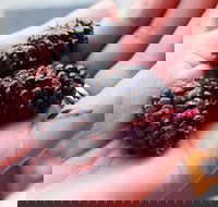 Baileys Lane - Redcliffe Tourism