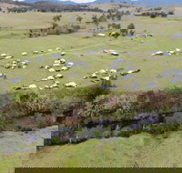 Camp on Allyn - Redcliffe Tourism