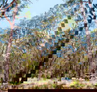 Coolah Tops National Park Camping - Redcliffe Tourism