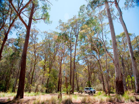 Coolah Tops National Park Camping - Redcliffe Tourism 0