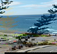 Dolphins 8 - Redcliffe Tourism