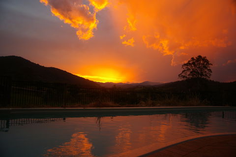 Ewetopia Farm - Redcliffe Tourism 2