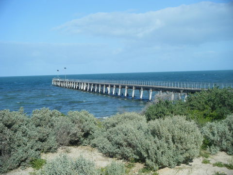 Haslam Campground - Redcliffe Tourism 0