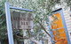 Kensington Bed And Breakfast - thumb 0