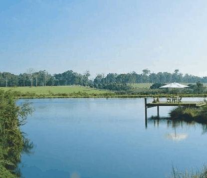 Forest Rise Eco Retreat - Redcliffe Tourism 0