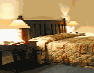 Comfort Inn Treetop Walk - Redcliffe Tourism