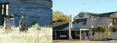 Acacia Motor Inn - Redcliffe Tourism 5