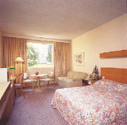 Country Comfort Armidale - Redcliffe Tourism 3