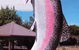 Anglers Reach Caravan Park - thumb 3