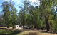 Balranald Caravan Park - thumb 0