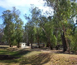 Balranald Caravan Park - Redcliffe Tourism 0