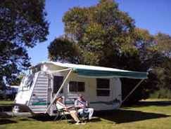 Bega Caravan Park - Redcliffe Tourism 1
