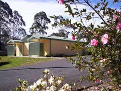 Bega Caravan Park - Redcliffe Tourism 5