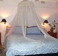 Bondi Beach Garden Sweet - Redcliffe Tourism