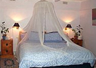 Bondi Beach Garden Sweet - Redcliffe Tourism 0