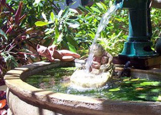 Bondi Beach Garden Sweet - Redcliffe Tourism 3