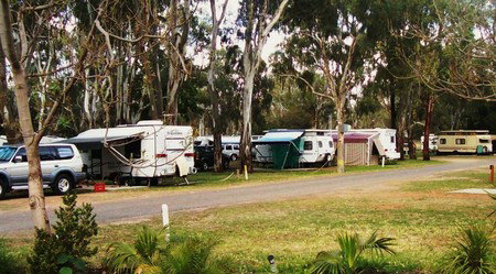 Buronga Riverside Tourist Park - Redcliffe Tourism 0
