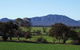 Kendenup Lodge And Cottages And Function Centre - thumb 2