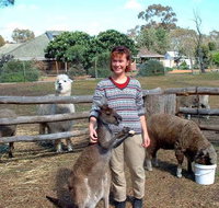 Kemminup Farm - Redcliffe Tourism