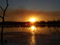 Town Caravan Park - Redcliffe Tourism 2