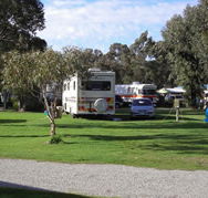 Pinjarra Caravan Park - Redcliffe Tourism