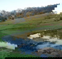 Barkeldine Farm Country Retreat - Redcliffe Tourism