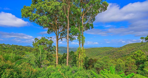 Cloud 9 Cliff Top Eagle Heights - Redcliffe Tourism 1