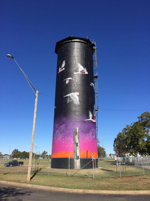 Coonamble Riverside Caravan Park - Redcliffe Tourism 2