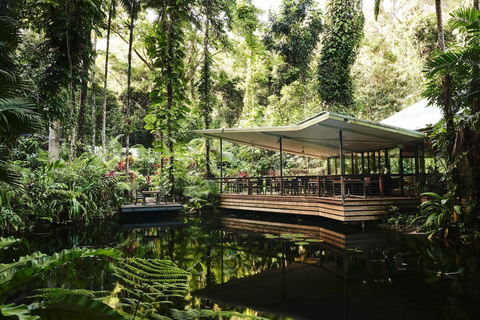 Daintree Ecolodge - Redcliffe Tourism 1