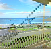 Dolphins 9 - Redcliffe Tourism
