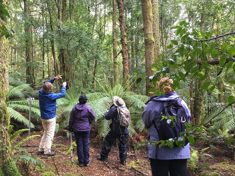 Forest Walks Lodge - Eco-Accommodation - Redcliffe Tourism 1