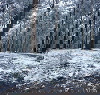 High Peaks Cottages - Redcliffe Tourism