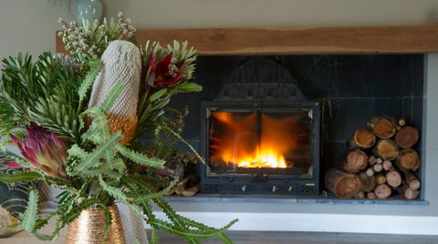 Koala Gully - Redcliffe Tourism 0