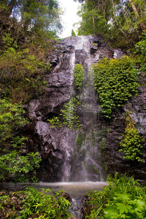 Nimbin Waterfall Retreat - Redcliffe Tourism 0