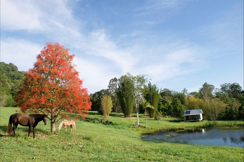 Nimbin Waterfall Retreat - Redcliffe Tourism 1