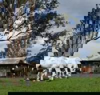 Woodenbong B and B - Redcliffe Tourism