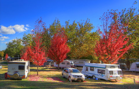 Beechworth Lake Sambell Caravan Park - Redcliffe Tourism 0