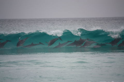 Bremer Bay Caravan Park - Redcliffe Tourism 1