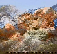 Credo Homestead Camp at Credo Conservation Park - Redcliffe Tourism