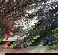 Fernleigh Accommodation - Redcliffe Tourism