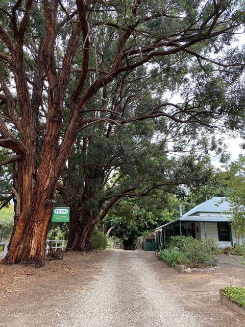 Fernleigh Accommodation - Redcliffe Tourism 0